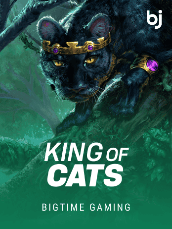 King of Cats